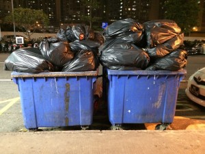 The capacity of garbage bins does not meet the needs of citizens.